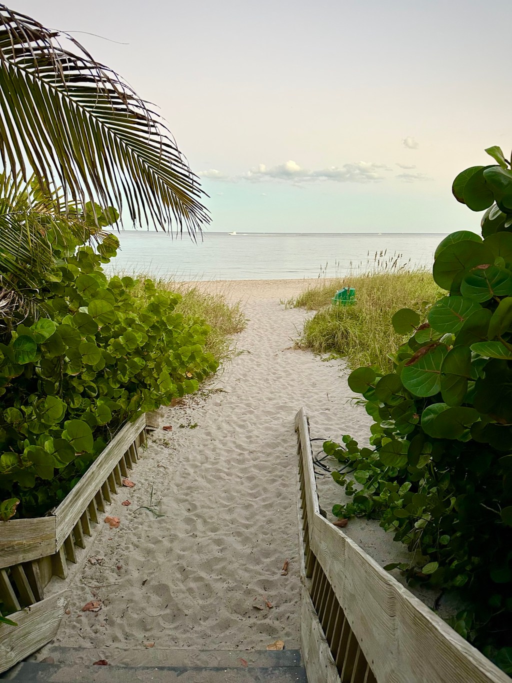 The Strength to Conquer&nbsp;Hate